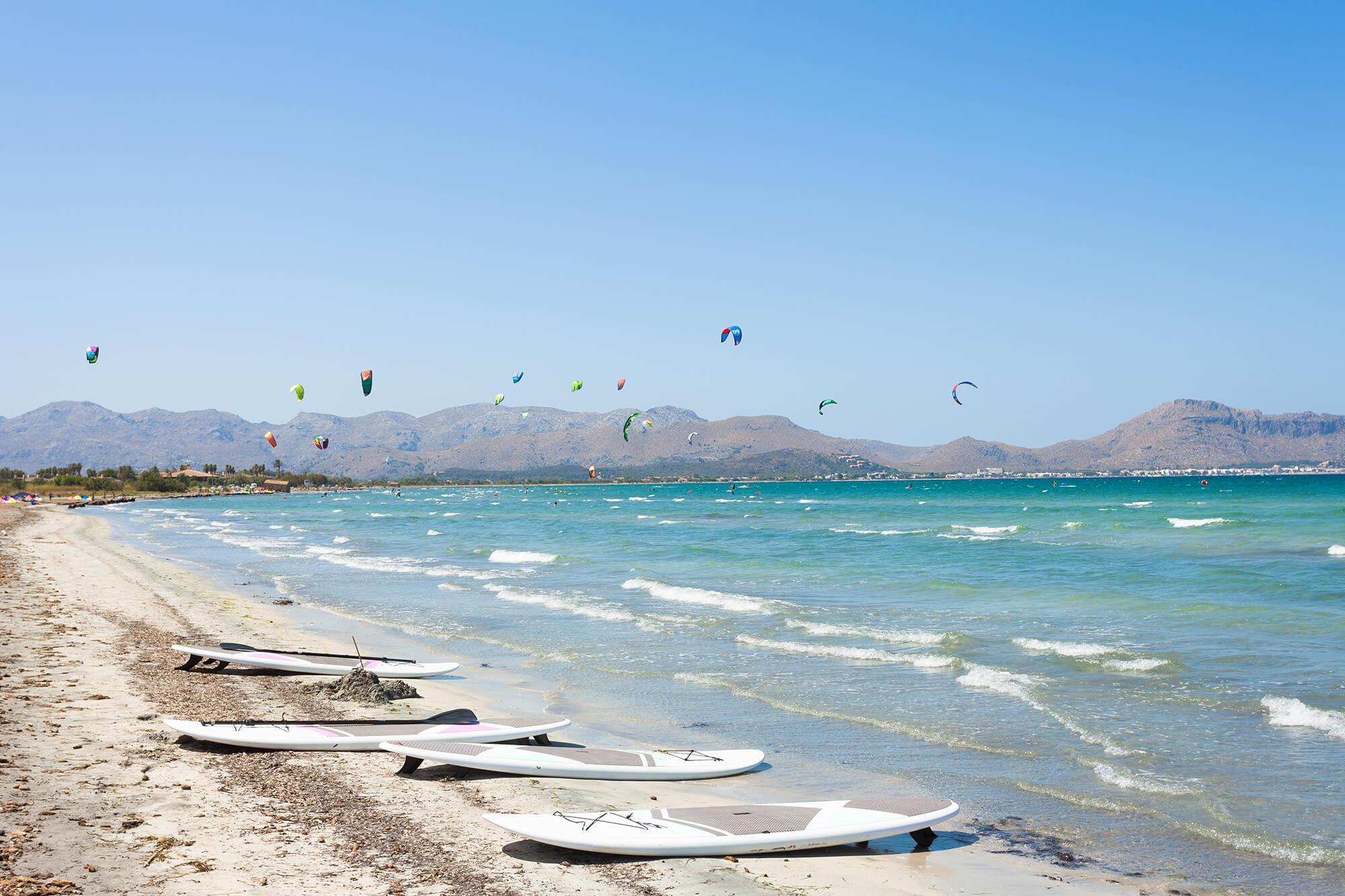 Alcudia beach is the ideal place for windsurfing