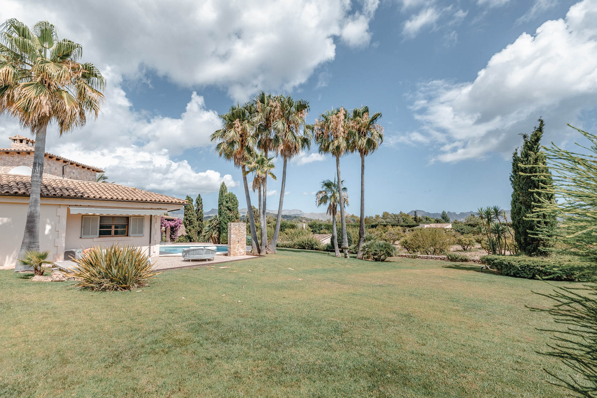 Huge garden with palm trees and pool